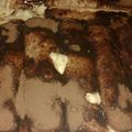 El cooksnap de Belen Garcia cuando hizo Tiramisú Italiano.