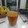 El cooksnap de Jesus Peralvarez Ruiz cuando hizo Salsa gaucha casera.