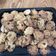 Cooksnap dari Anna untuk resep Crunchy oat cookies