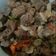 Cooksnap dari Tha untuk resep Oseng PARU dan DAGING SAPI