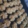 Cooksnap dari Fetty Syariputri untuk resep Butter cookies / shortbread cookies 3 bahan sederhana