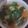 Cooksnap dari Siti Aniroh untuk resep Sayur Bening Labu Siam