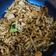 Cooksnap dari Diah Purnamasari untuk resep Kwetiau Goreng Ala Chinese Food