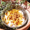 El cooksnap de Carmeta cuando hizo Batido de yogurt con nueces.