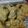 El cooksnap de PepaTomasi cuando hizo Galletas caseras nutritivas.