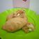 Cooksnap dari Fauziah Adnan Ummu Sarah untuk resep Karipap panggang