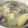 Cooksnap của Daisy Lê khi họ làm theo món Canh khoai sọ nấu xương