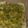 El cooksnap de Beatriz Lizarraga cuando hizo Salsa verde.
