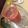 Sadia Alvi's cooksnap of when they made Watermelon Punch.