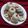 Kanchan Kamlesh Harwani's cooksnap of when they made Nankhatai Cookies without Oven.