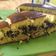 Cooksnap dari WhaWha Stroberry Hitam untuk resep Martabak Manis Teflon