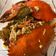 Cooksnap dari Ayu RG untuk resep 🦀KEPITING saus Asam Manis favourite 🦀