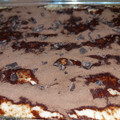 El cooksnap de Evelyn Rocío Rojo Gomes cuando hizo Tarta Tiramisú Para Papá.