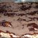 El cooksnap de Evelyn Rocío Rojo Gomes cuando hizo Tarta Tiramisú Para Papá.