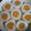 Cooksnap dari Nicholas Feby untuk resep Puding Telor Ceplok