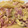 El cooksnap de Irene-Guirao cuando hizo Spaguettis a la carbonara.