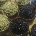 Cooksnap dari Nananana untuk resep Martabak mini nyuss