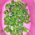 Cooksnap dari Linda untuk resep Dinsum Ayam Wortel (Resep baru)