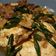Cooksnap dari Nurfis Silmy untuk resep Telur Cabe Hijau