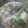 Cooksnap của okuroka khi họ làm theo món Canh nấm bò viên