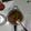 รูป Cooksnap ของ apple เมื่อเขาทำ ผัดพริกแกงหมู