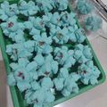 Cooksnap dari Dapur Halal (Indri) untuk resep Bolu Mekar Bunga Telang : Cuma 1 Telur Tanpa Soda Anti Gagal