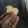 Cooksnap dari ayning untuk resep Keripik Somigo (bakso mi goreng)