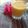 Beena Radia का कुकस्नैप जब उन्होंने मैंगो मिल्कशेक (Mango Milkshake recipe in hindi) बनाया था।