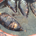 El cooksnap de MariaAurora cuando hizo Chipirones en salsa con tinta.
