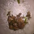 Cooksnap dari Ranny Al untuk resep Tumis Pedas Cumi asin
