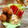 El cooksnap de Suchitra S(Radhika S) cuando hizo Falafel bowl en freidora de aire.