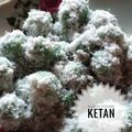 Cooksnap dari Ratih Pratiwi Mahmuri untuk resep Klepon #5resepterbaruku