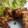 El cooksnap de Marion Magro cuando hizo Alitas de pollo crujientes.