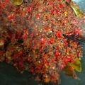 Cooksnap dari ade swetsy untuk resep Dendeng Balado