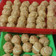 Cooksnap dari Andaru Anindhita untuk resep Sus/soes vla vanilla, kokoh banget (tanpa mixer) 👌