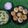 Dr. Pushpa Dixit's cooksnap of when they made પાણી પૂરી.