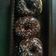Cooksnap dari Nduk Niswah Islamiyah untuk resep Belajar topping donat yuk
