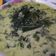 Cooksnap dari Fitriah Puspitaningtyas untuk resep Sayur Daun singkong simple