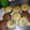 El cooksnap de Lorena Ledezma cuando hizo Cupcakes facil esponjoso🍫.
