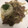 El cooksnap de maybe cuando hizo Mollejas de pollo encebolladas con vino.