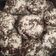 Cooksnap dari Rain Hendrich untuk resep Crincle brownie cookies (no mixer)