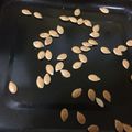 El cooksnap de Marisol Melgarejo cuando hizo Semillas de calabaza crocantes.