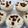 Cooksnap dari MF. Irene untuk resep Setup roti tawar