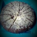 Cooksnap dari Sarifah Nurindah untuk resep Brownis kukus simpel