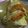 Cooksnap dari Fela untuk resep Kelo Mrico (Sayur Merica) khas Rembang