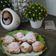 Cooksnap dari user_67615 untuk resep Oliebollen