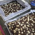 Cooksnap dari ocke untuk resep Fudgy Shiny Brownies ala Primarasa