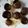 chicamarie1's cooksnap of when they made Crockpot Ranch Mushrooms.