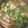 Cooksnap dari RonaCute untuk resep #254 Sup Ayam Jahe (Menu Anak)