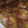 El cooksnap de vero cuando hizo Torta de manzana / pera fácil y económica.